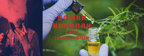 прущие крисы Новозыбков