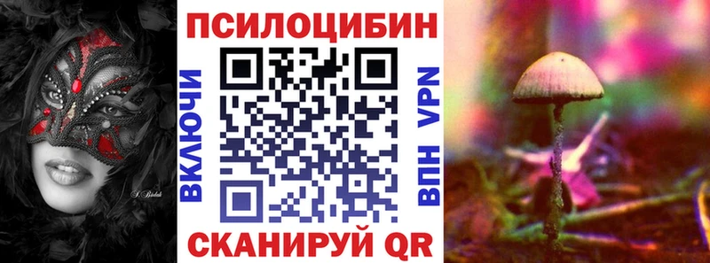 Псилоцибиновые грибы Psilocybe  гидра как зайти  Старая Русса 